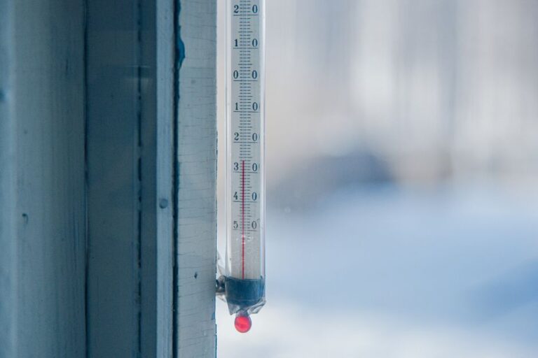 Dlaczego precyzyjny termograf transportowy zabezpiecza jakość Twoich dostaw?